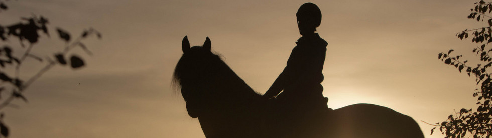 Bild von Reiten am See