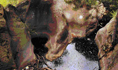 Bild von Marmitte dei Giganti am Comer See in Italien