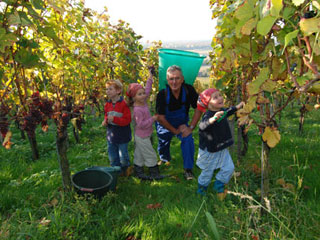 Bild von Herbst am  Comer See