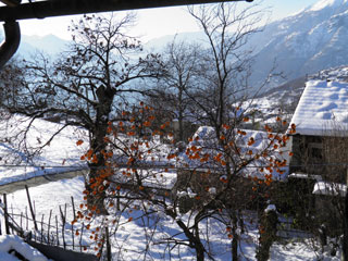 Bild von Winter am Comer See
