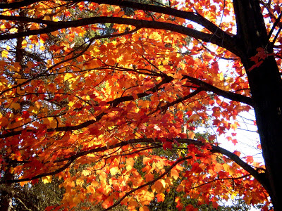 Veranstaltungen in November am Comer See Bild von Veranstaltungen in November am Comer See