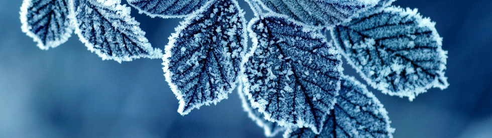 Bild von Wettervorhersage und Klima Comer See Winter
